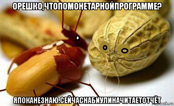 орешко,чтопомонетарнойпрограмме? япоканезнаю.сейчаснабиулиначитаетотчёт, Мем Мурашко и Орешко