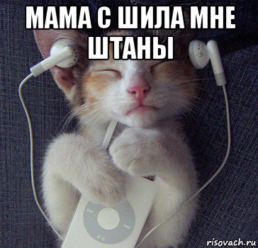 мама с шила мне штаны 