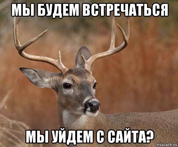 мы будем встречаться мы уйдем с сайта?, Мем  Наивный Олень v2