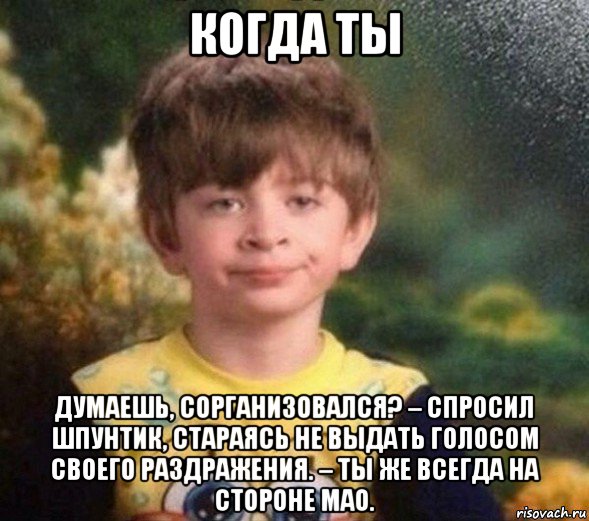 когда ты думаешь, сорганизовался? – спросил шпунтик, стараясь не выдать голосом своего раздражения. – ты же всегда на стороне мао., Мем Недовольный пацан