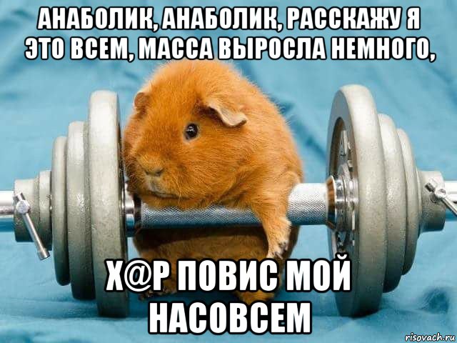 анаболик, анаболик, расскажу я это всем, масса выросла немного, х@р повис мой насовсем, Мем Неуверенный мирняк