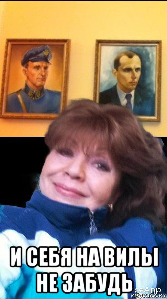  и себя на вилы не забудь, Мем Новожилова