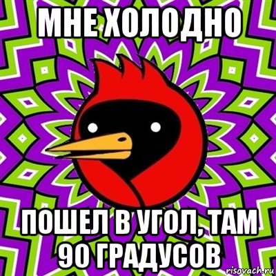 мне холодно пошел в угол, там 90 градусов, Мем Омская птица