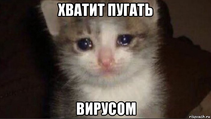 хватит пугать вирусом, Мем П