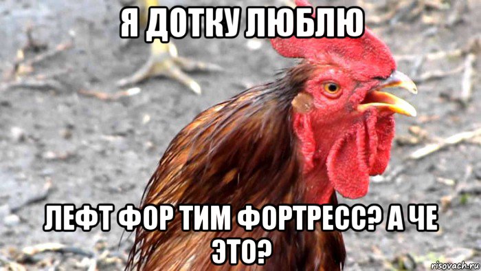 я дотку люблю лефт фор тим фортресс? а че это?
