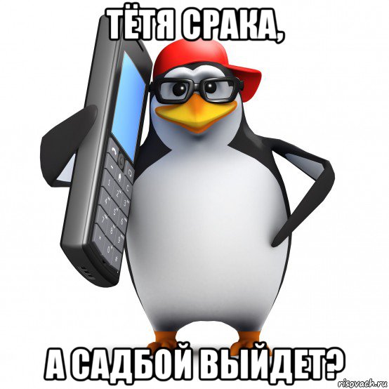 тётя срака, а садбой выйдет?, Мем   Пингвин звонит