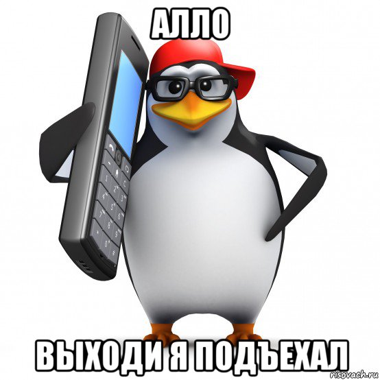 алло выходи я подъехал, Мем   Пингвин звонит