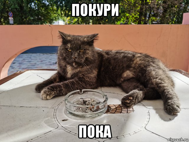 покури пока, Мем Покури пока