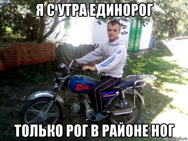 я с утра единорог только рог в районе ног, Мем Полд