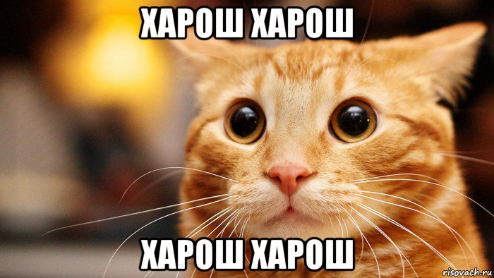 харош харош харош харош, Мем Получил 2