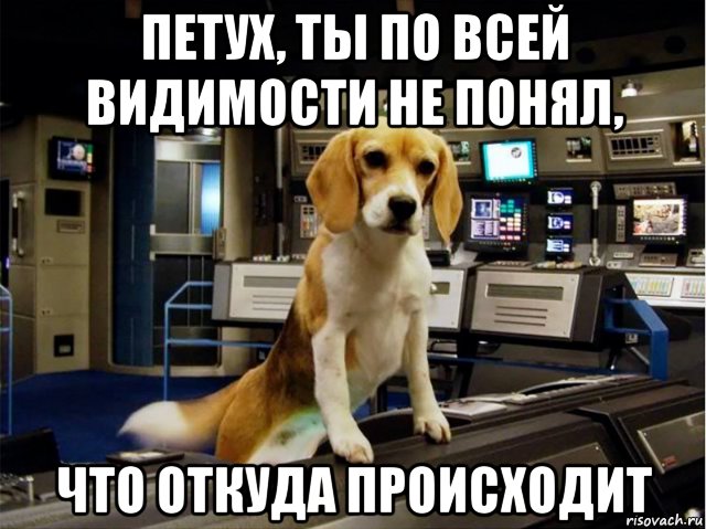 петух, ты по всей видимости не понял, что откуда происходит, Мем Porthos - Enterprise NX-01