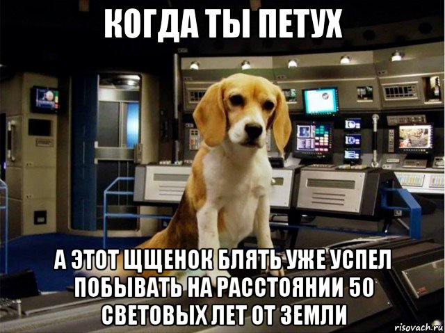 когда ты петух а этот щщенок блять уже успел побывать на расстоянии 50 световых лет от земли, Мем Porthos - Enterprise NX-01