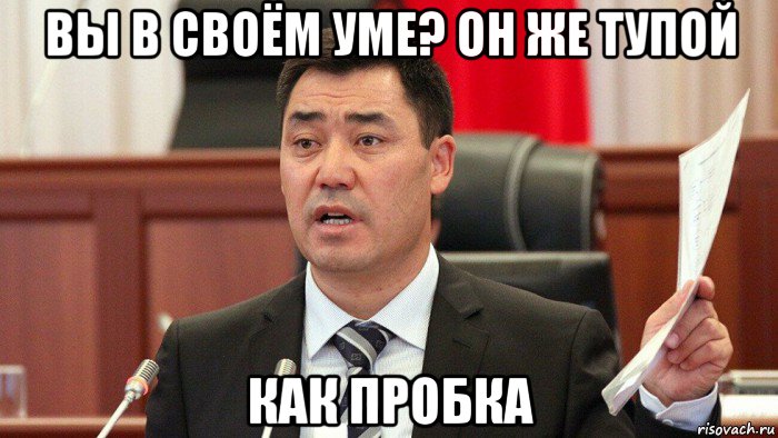 вы в своём уме? он же тупой как пробка, Мем Президент