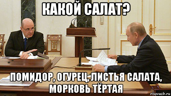 какой салат? помидор, огурец, листья салата, морковь тёртая, Мем Путин и Мишустин
