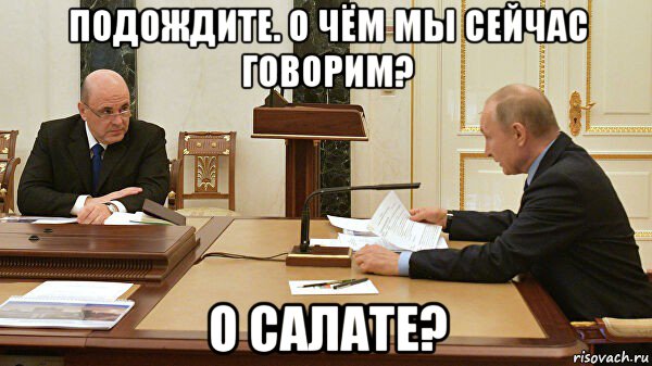 подождите. о чём мы сейчас говорим? о салате?, Мем Путин и Мишустин