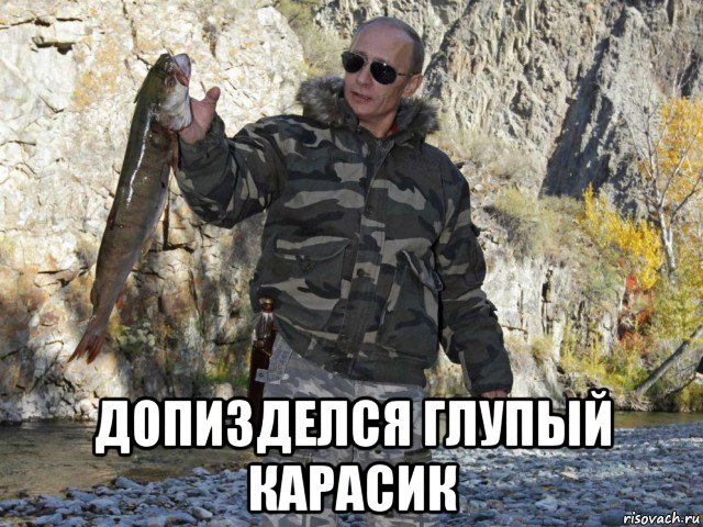  допизделся глупый карасик, Мем Путин