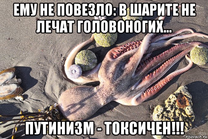 ему не повезло: в шарите не лечат головоногих... путинизм - токсичен!!!, Мем Путинизм как он есть