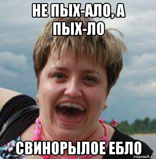 не пых-ало, а пых-ло свинорылое ебло, Мем Пыхова