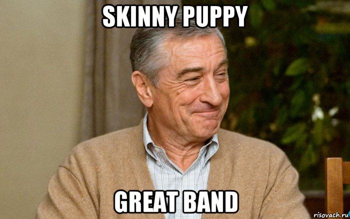 skinny puppy great band, Мем Robert De Niro