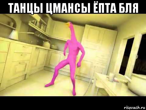 танцы цмансы ёпта бля , Мем Розовый гусь