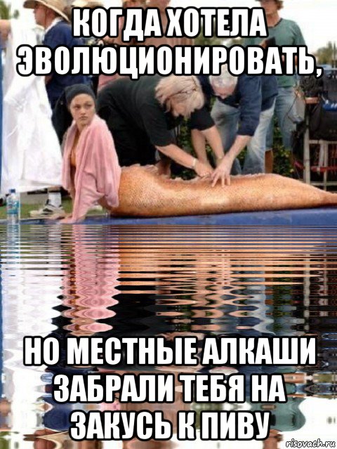 когда хотела эволюционировать, но местные алкаши забрали тебя на закусь к пиву, Мем Рыба