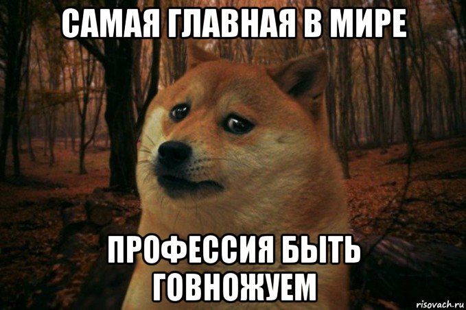 самая главная в мире профессия быть говножуем, Мем SAD DOGE