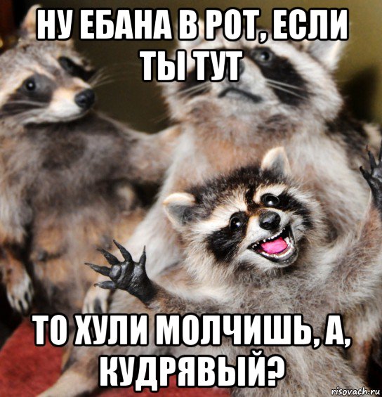 ну ебана в рот, если ты тут то хули молчишь, а, кудрявый?
