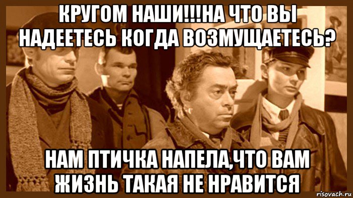 кругом наши!!!на что вы надеетесь когда возмущаетесь? нам птичка напела,что вам жизнь такая не нравится, Мем Швондер