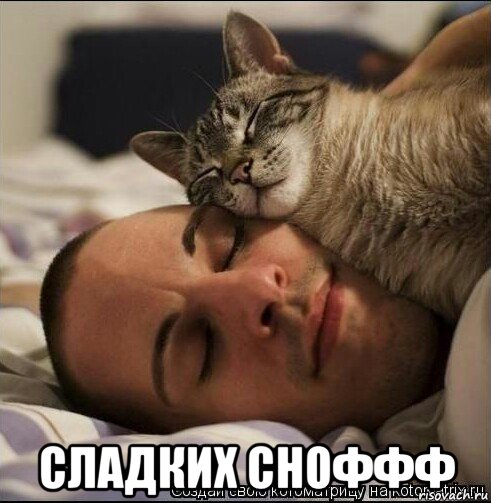  сладких сноффф, Мем Сладких снов