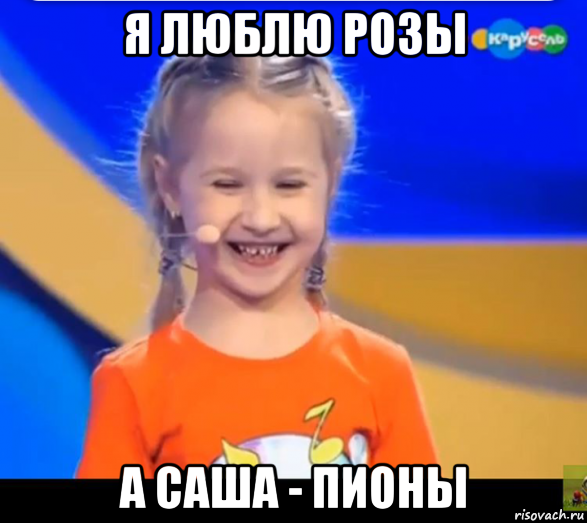 я люблю розы а саша - пионы, Мем София Тихомирова