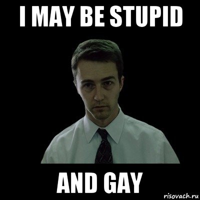 i may be stupid and gay, Мем Сон