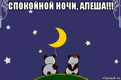 спокойной ночи, алеша!!! 