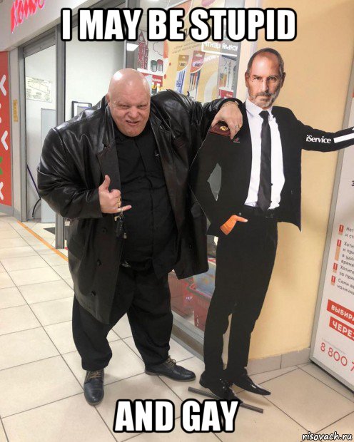 i may be stupid and gay, Мем Стив Хуйс