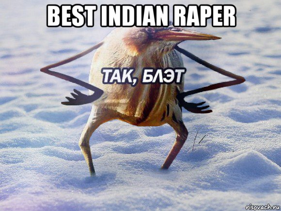best indian raper , Мем  Так блэт птица с руками