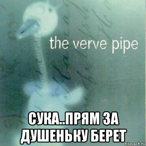  сука..прям за душеньку берет, Мем The verve Pipe