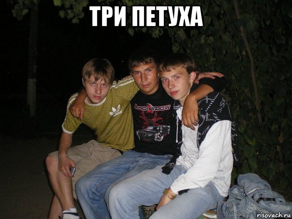 три петуха 