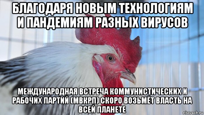 благодаря новым технологиям и пандемиям разных вирусов международная встреча коммунистических и рабочих партий (мвкрп) скоро возьмёт власть на всей планете, Мем Типичный Петух - Совок четыре ноль