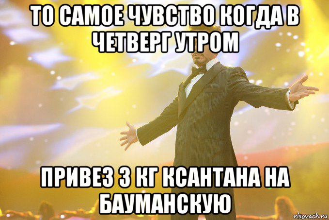 то самое чувство когда в четверг утром привез 3 кг ксантана на бауманскую, Мем Тони Старк (Роберт Дауни младший)