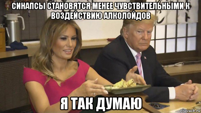синапсы становятся менее чувствительными к воздействию алколойдов я так думаю, Мем Trump