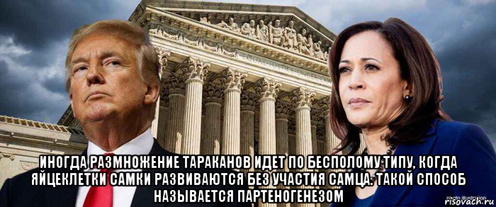  иногда размножение тараканов идет по бесполому типу, когда яйцеклетки самки развиваются без участия самца. такой способ называется партеногенезом, Мем Trump