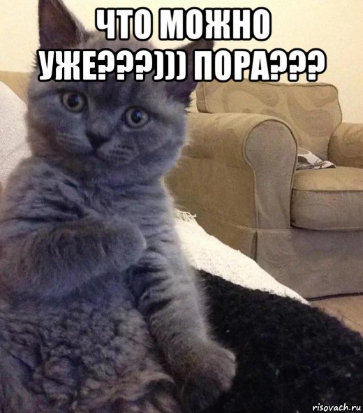 что можно уже???))) пора??? , Мем Туть