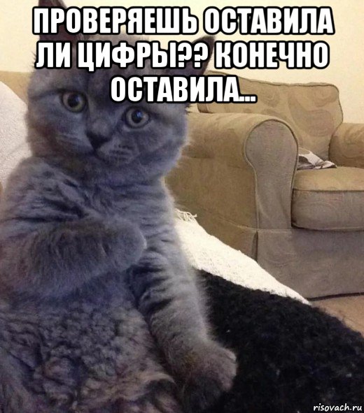 проверяешь оставила ли цифры?? конечно оставила... , Мем Туть