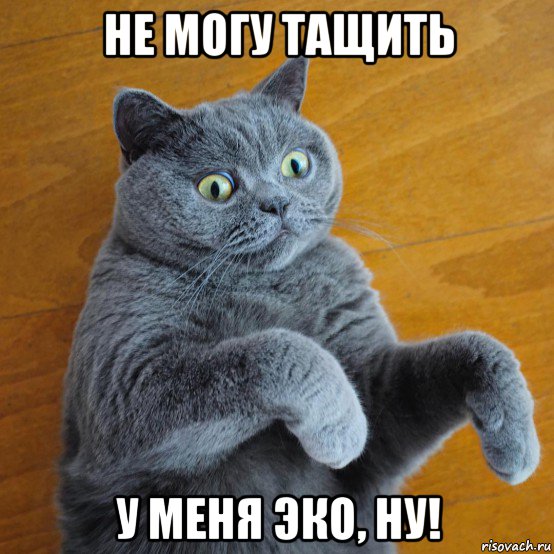не могу тащить у меня эко, ну!