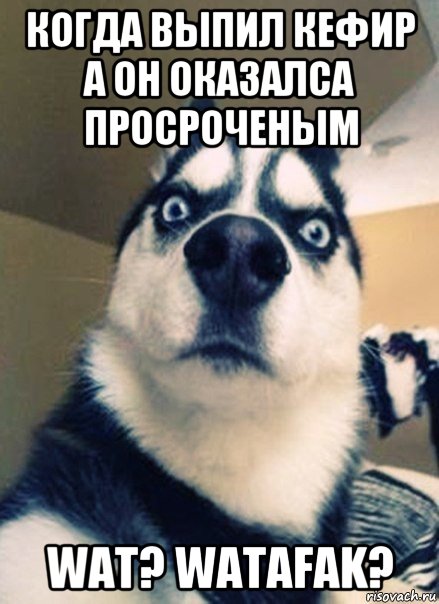 когда выпил кефир а он оказалса просроченым wat? watafak?, Мем Удевление