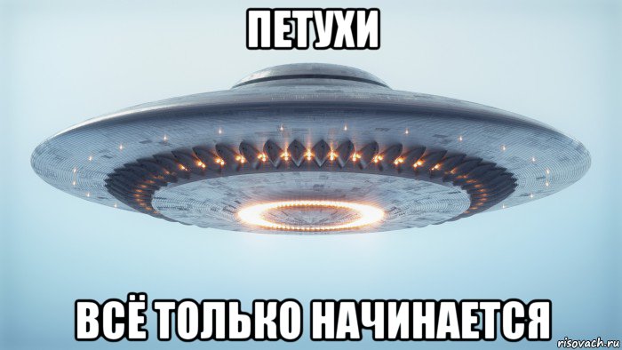 петухи всё только начинается