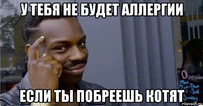 у тебя не будет аллергии если ты побреешь котят, Мем Умный Негр