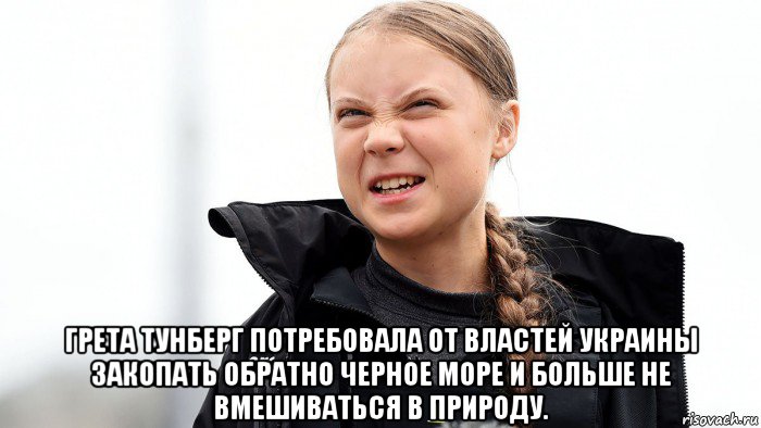  грета тунберг потребовала от властей украины закопать обратно черное море и больше не вмешиваться в природу., Мем Вапя