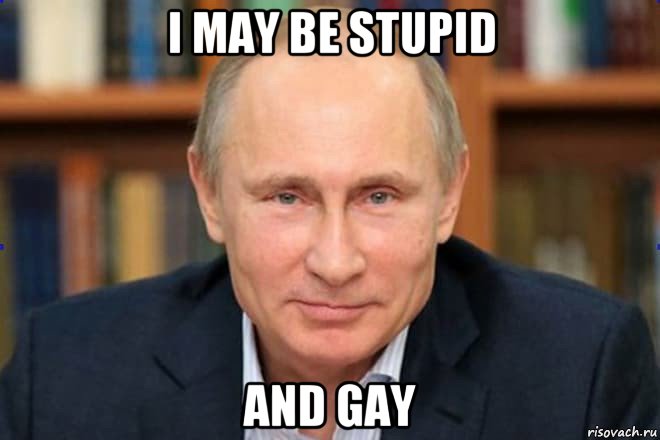 i may be stupid and gay, Мем Володя