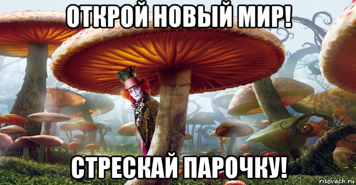 открой новый мир! стрескай парочку!
