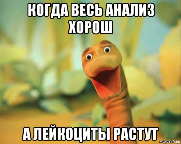когда весь анализ хорош а лейкоциты растут, Мем Вот это поворот